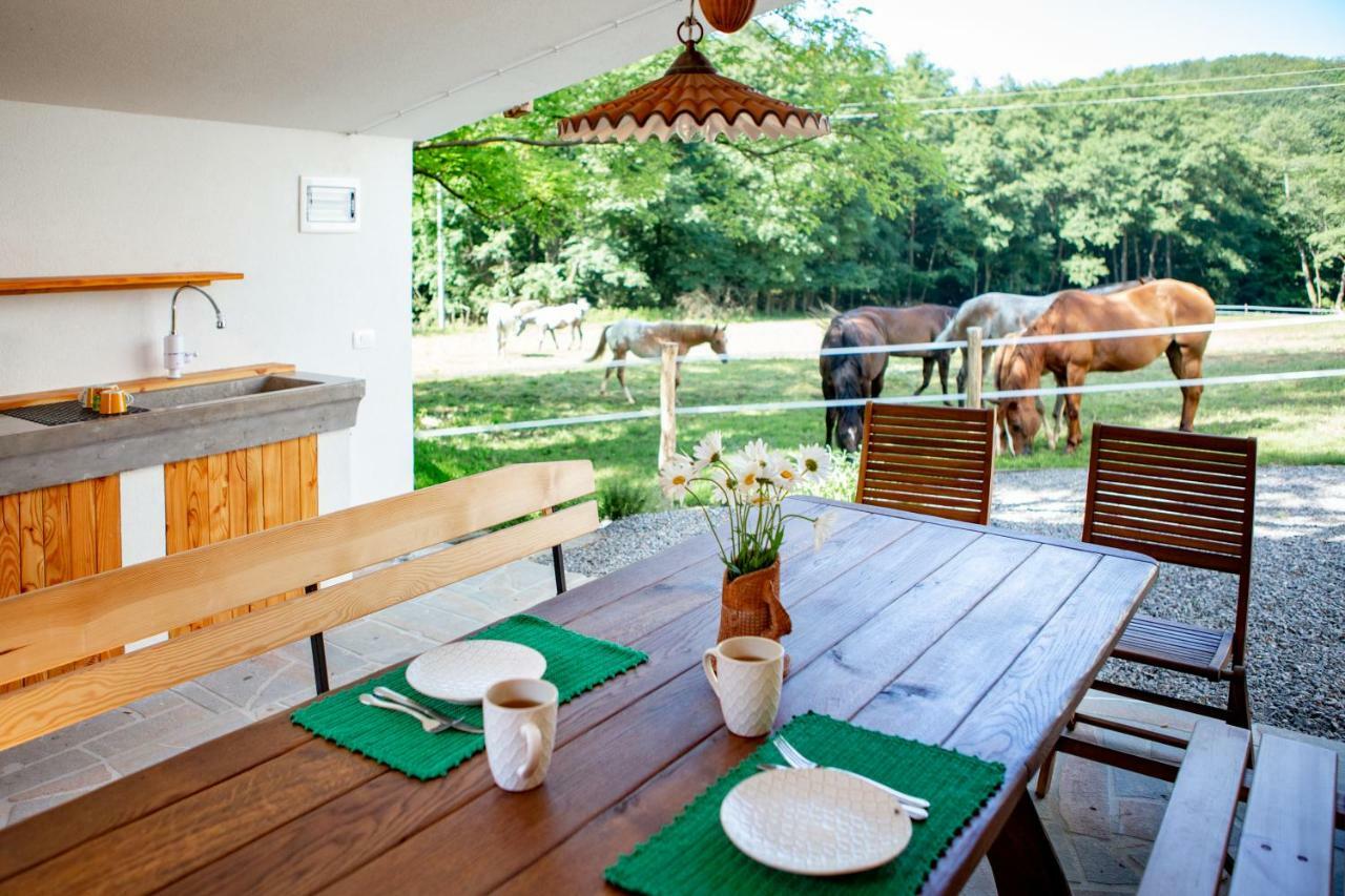 Farm Volk Villa Suhorje Ngoại thất bức ảnh